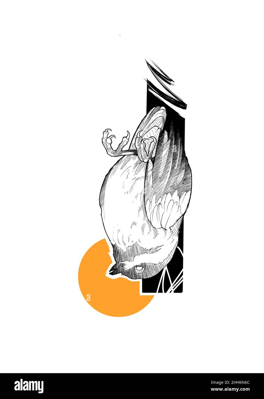 une collection d'illustrations faites par moi, eliran. Banque D'Images