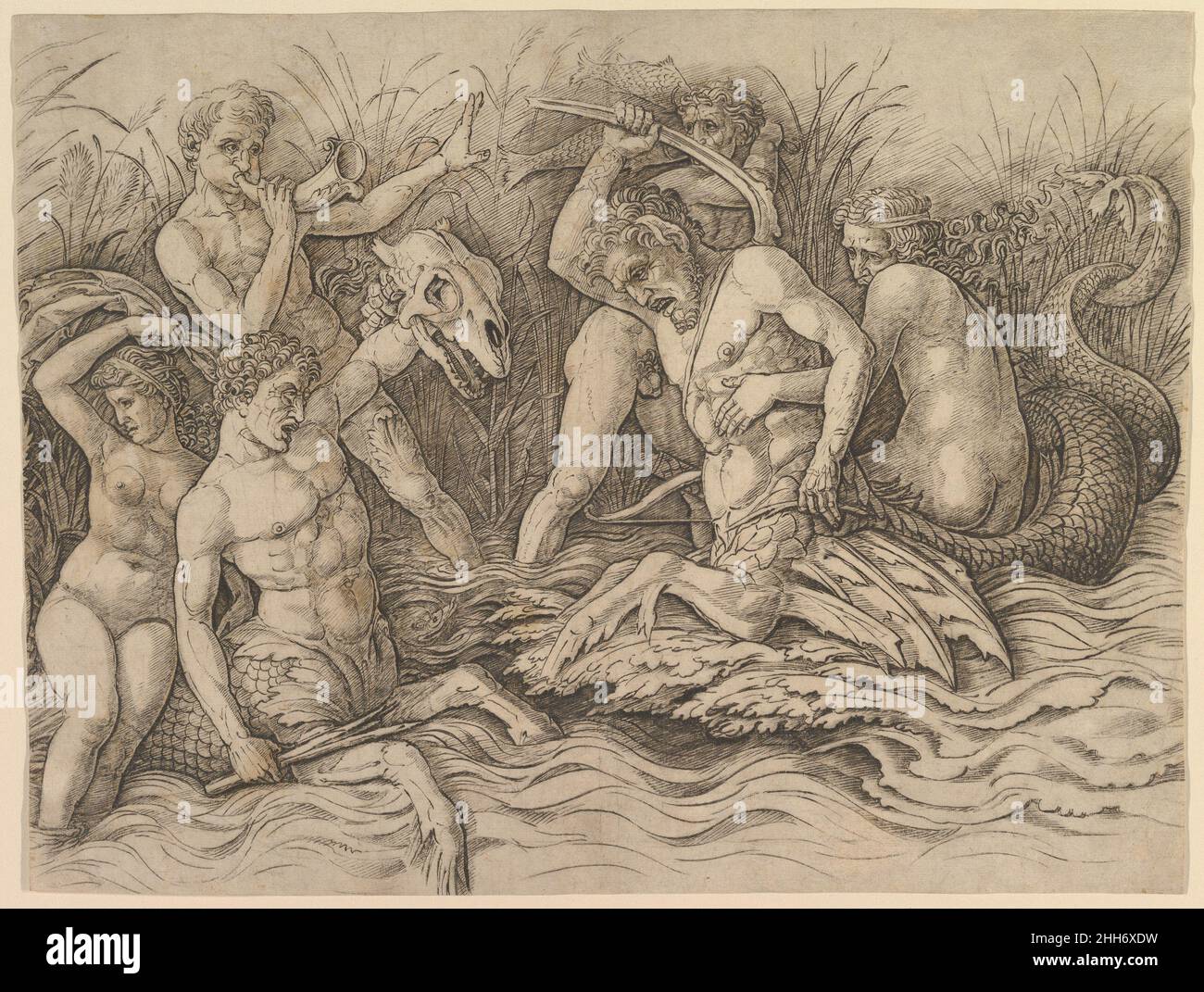 Bataille des dieux de la mer (partie droite de la frise) avant 1481 Andrea Mantegna Italien artiste profondément intéressé par le monde de l'antiquité classique, Mantegna a également été l'un des premiers peintres italiens à utiliser la gravure comme support pour ses dessins originaux.Dans cette gravure, la moitié droite d'une frise en deux parties, le point de départ de l'artiste est un sarcophage comme celui gravé par Mercati à gauche.De cette source, Mantegna prit les Centaures de mer avec Nereids sur leur dos et le Triton soufflait sa corne.Pourtant Mantegna a ajouté au mélange la violence de l'ancienne bataille sarcophagi an Banque D'Images