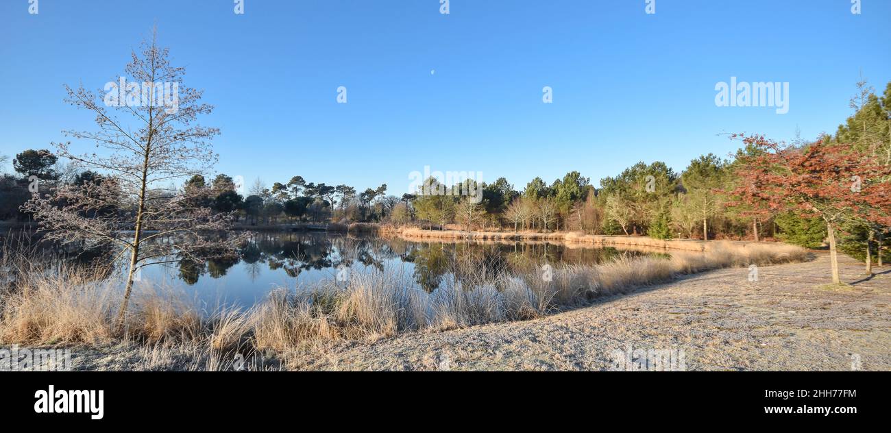 Etang de Massy en hiver (Gaillères, Sud-ouest France) Banque D'Images