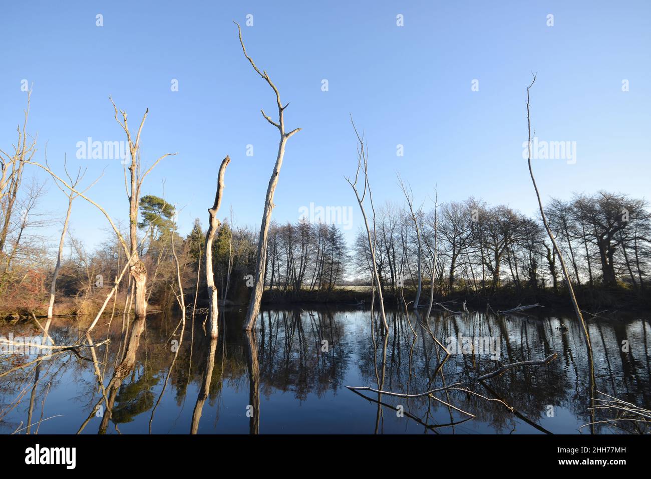 Etang du Pénin, (Gaillères, sud-ouest France) Banque D'Images