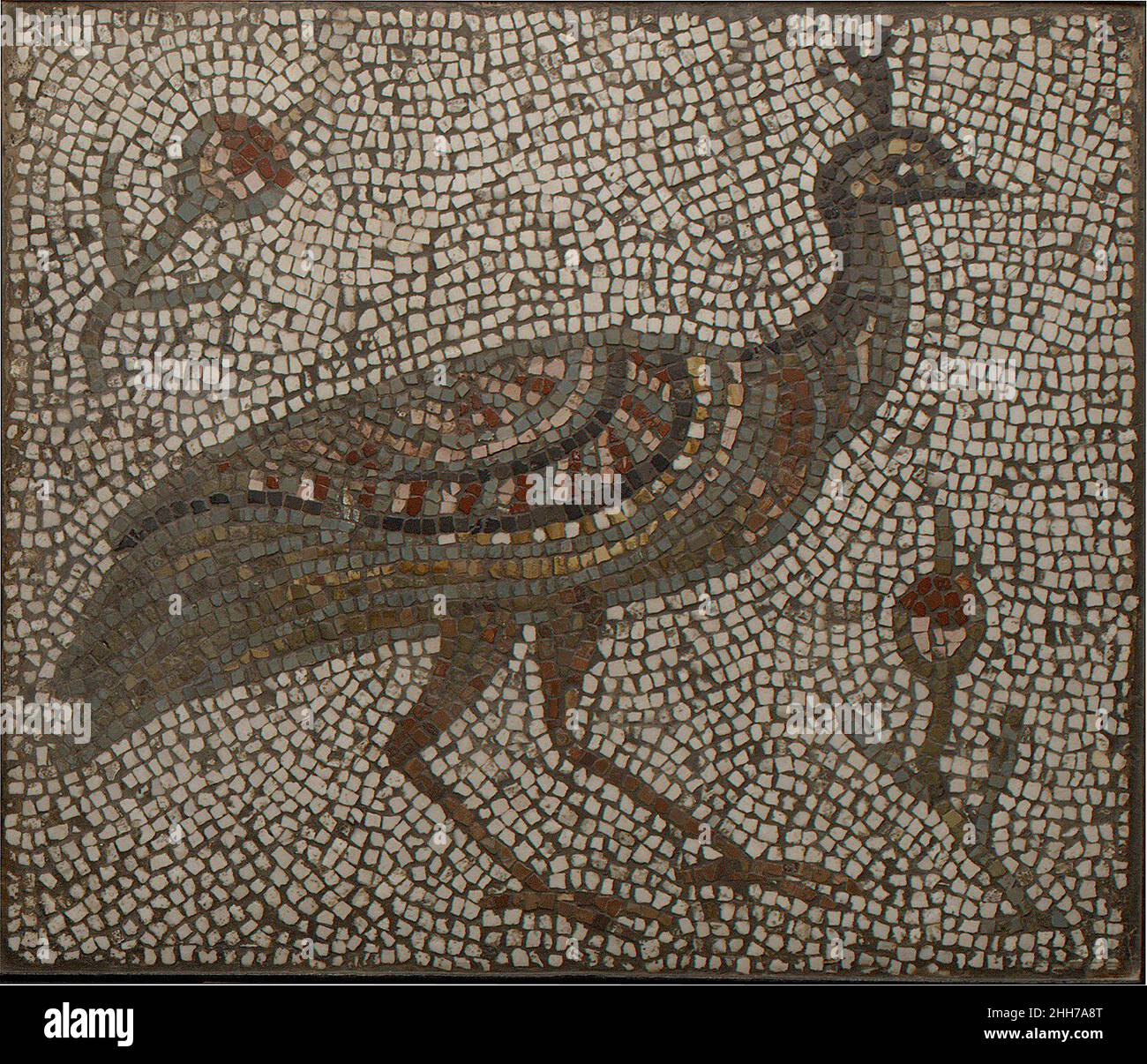 Mosaïque avec un paon et des fleurs 3rd–4th siècle romain ou byzantin cette mosaïque, qui fait probablement partie d'une mosaïque de sol beaucoup plus grande, montre un paon parmi les fleurs.Le paon était un sujet populaire pour les artistes romains et byzantins, souvent utilisé pour représenter le paradis, le renouveau et le printemps.Les Byzantins auraient peut-être pensé que le paon était un symbole approprié pour la saison, parce que ses plumes élaborées ont grandi chaque printemps.Associer le paon au paradis céleste était une extension de la vision byzantine du paradis terrestre : de nombreux citoyens riches étaient connus pour avoir gardé les paons se promener sur les fleurs Banque D'Images