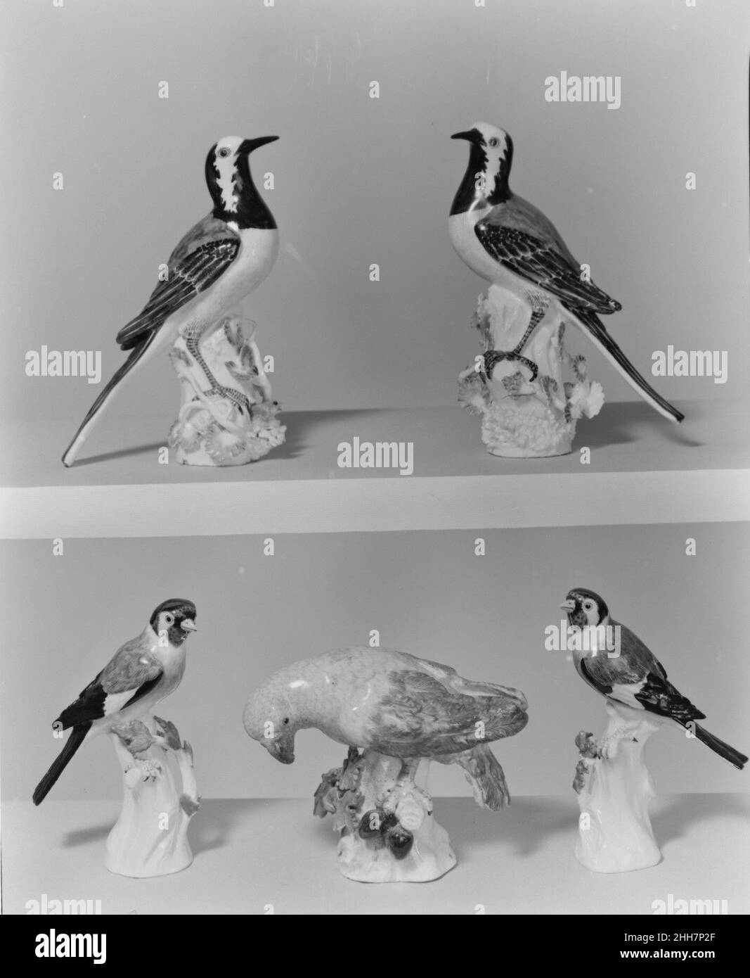 Queue de cheval (une de paire) 1733 Manufacture Meissen les oiseaux de porcelaine allemands ont leurs origines dans la tradition princière de maintenir des collections d'animaux vivants et d'oiseaux dans les ménageries et les volières, qui ont été considérés comme des microcosmes de l'univers, et des emblèmes de pouvoir royal et d'illumination.Ces collections comprenaient souvent des oiseaux exotiques tels que des perroquets, admirés pour leur rareté, ainsi que des espèces indigènes plus familières.en 1731, la manufacture Meissen a commencé un nouveau genre en porcelaine européenne, produisant plusieurs centaines d'oiseaux et d'animaux en porcelaine grandeur nature et proche de la taille de la vie, dont beaucoup sont destinés à t Banque D'Images