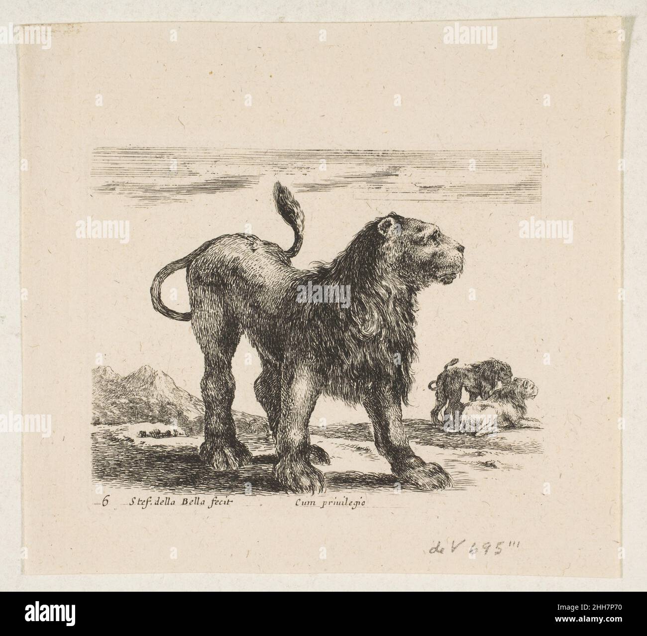 Assiette 6: lion, de 'divers animals' (Diversi animatili) ca.1641 Stefano della Bella Italien.Assiette 6: lion, de 'divers animals' (Diversi animatili) 377288 Banque D'Images