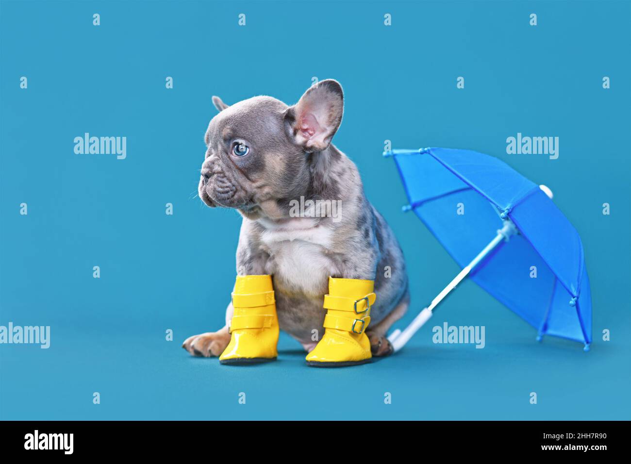 Bottes de pluie Banque de photographies et d'images à haute résolution -  Alamy