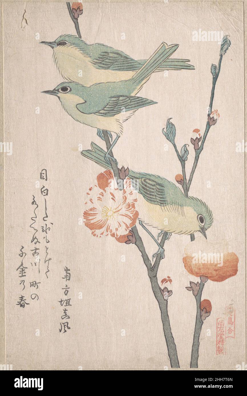 Les yeux blancs japonais sur une branche de l'arbre de pêche,” de la série un tableau d'oiseaux (Tori awase), de Spring Rain Surimano Album (Harusame surimano-jō, vol. 3) ca.1805–10 Kubo Shunman les Surimont japonais sont des reproductions de blocs de bois publiées en privé, habituellement commandées par des poètes ou des groupes de poésie comme une forme de carte de vœux du nouvel an.Les poèmes, le plus souvent kyōka (le verset de syllabe d'esprit trente-et-un), inscrits sur les imprimés incluent habituellement des images de glicitous liées au printemps, qui dans le calendrier lunaire commence le premier jour du premier mois.Les thèmes de suribono sont souvent erudite, souvent un Banque D'Images