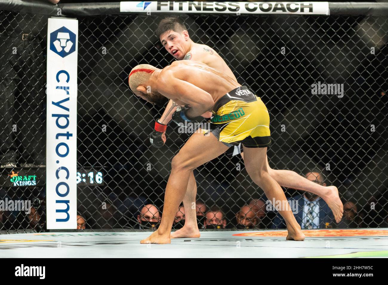 Anaheim, Californie, États-Unis.23rd janvier 2022.UFC 270: Ngannou vs Gane: (Credit image: © Dalton Hamm/ZUMA Press Wire) Banque D'Images