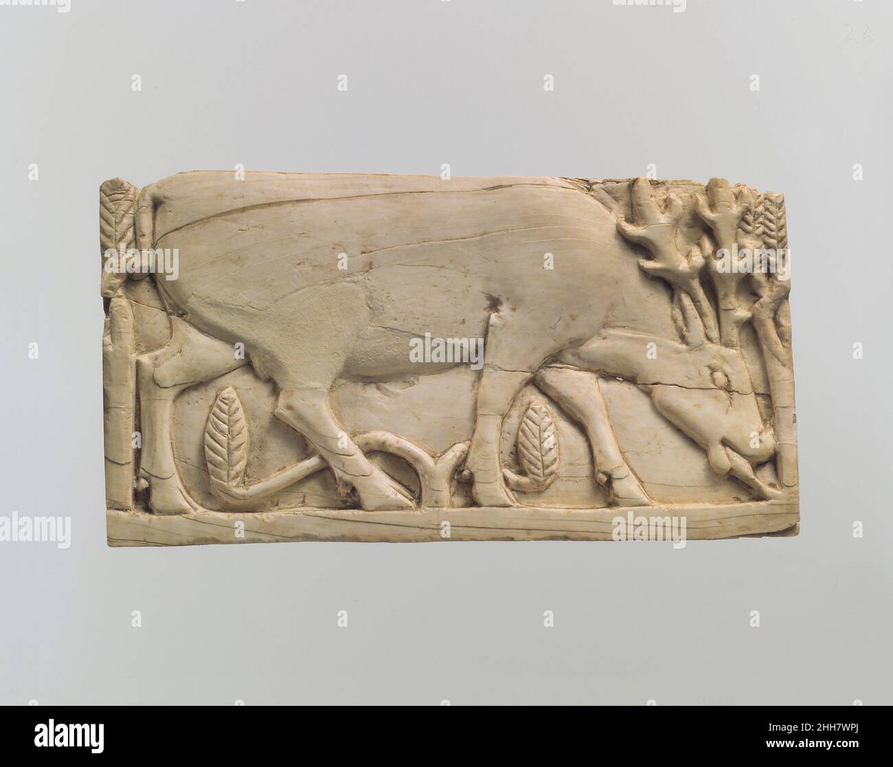 Plaque de mobilier sculptée dans le relief avec un cerf pageant parmi les plantes ca.9th–8th siècle av. J.-C. Assyrien au début du premier millénaire, la sculpture en ivoire était l'un des principaux arts de luxe qui s'épanouissait dans l'ancien proche-Orient.Des défenses d'éléphant ont été sculptées dans de petits objets décoratifs tels que des boîtes cosmétiques et des plaques utilisées pour orner des meubles en bois.Le papier d'or, la peinture et les ornements semi-décoratifs en pierre et en verre animent ces magnifiques œuvres d'art basées sur certaines caractéristiques stylistiques, formelles et techniques également visibles dans d'autres médias, les érudits ont distingué les Banque D'Images