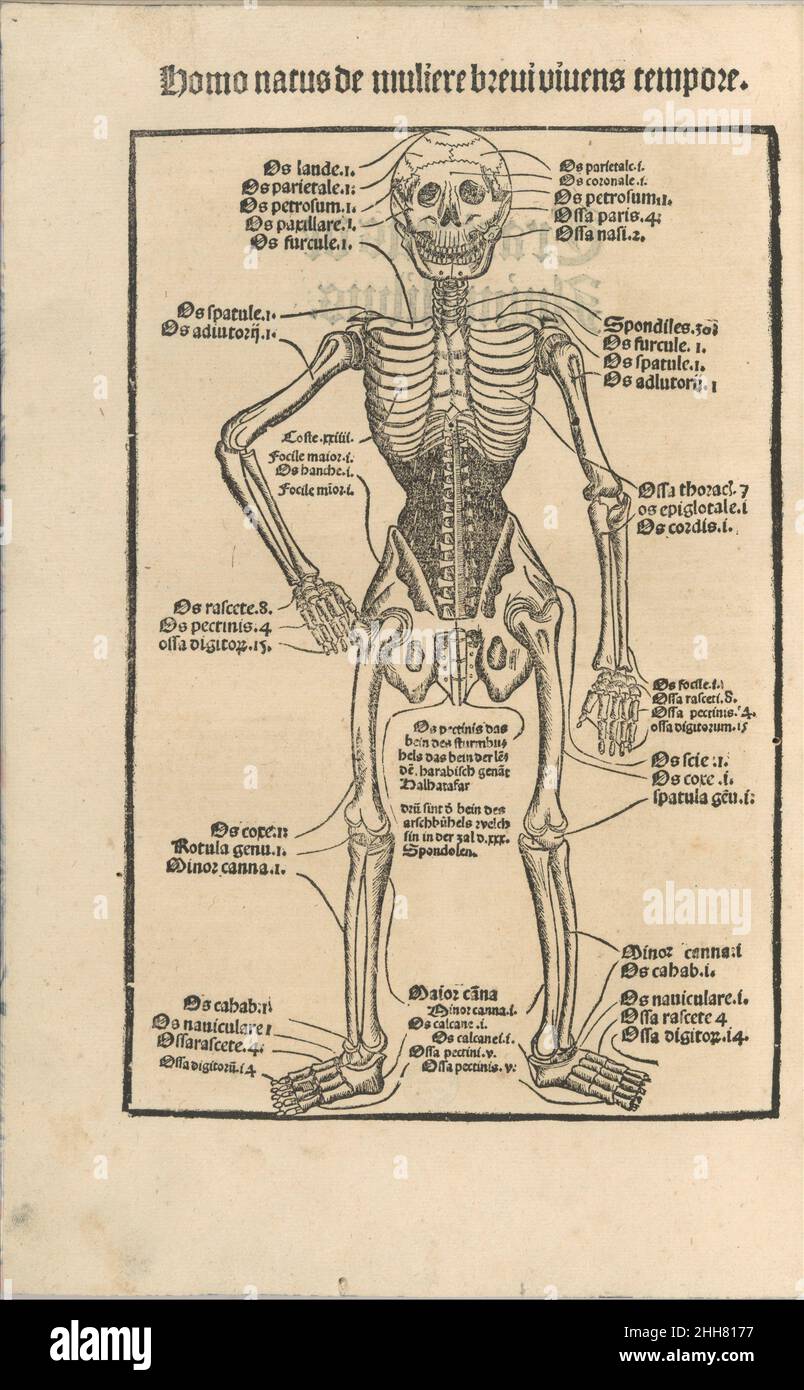 Ortus Sanitatis/ de herbis et plantis/ de Animalbus & reptilibus ... avant 1497 imprimé par Johann Prüss l'ancien allemand.Ortus Sanitatis/ de herbis et plantis/ de Animilibus & reptilibus .... avant 1497.Coupe de bois.Livres Banque D'Images