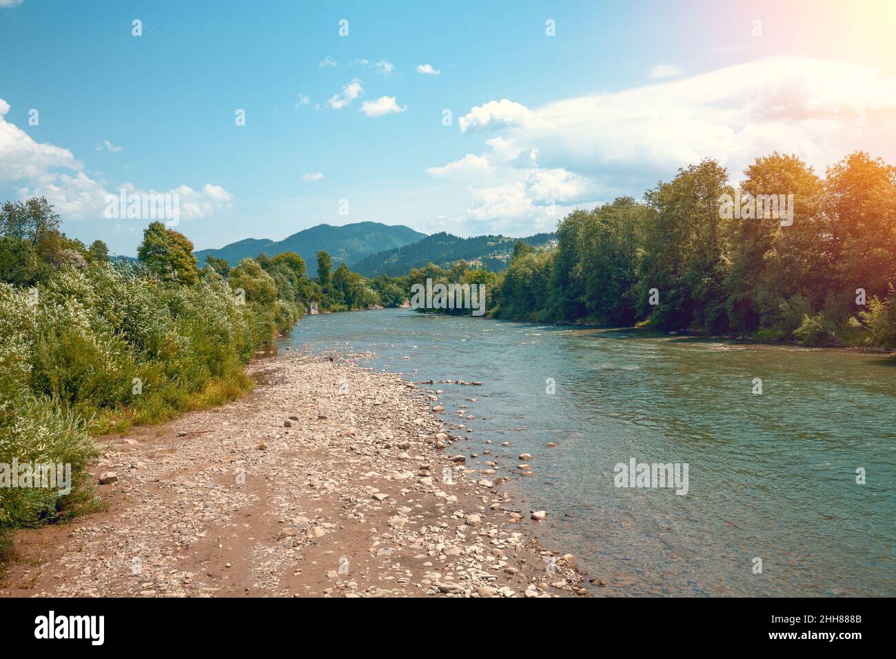 Magnifique paysage d'été avec rivière de montagne par une journée ensoleillée.Fleuve Cheremosh noir, Ukraine Banque D'Images