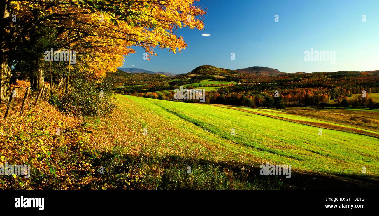 Peacham, Vermont en automne Banque D'Images