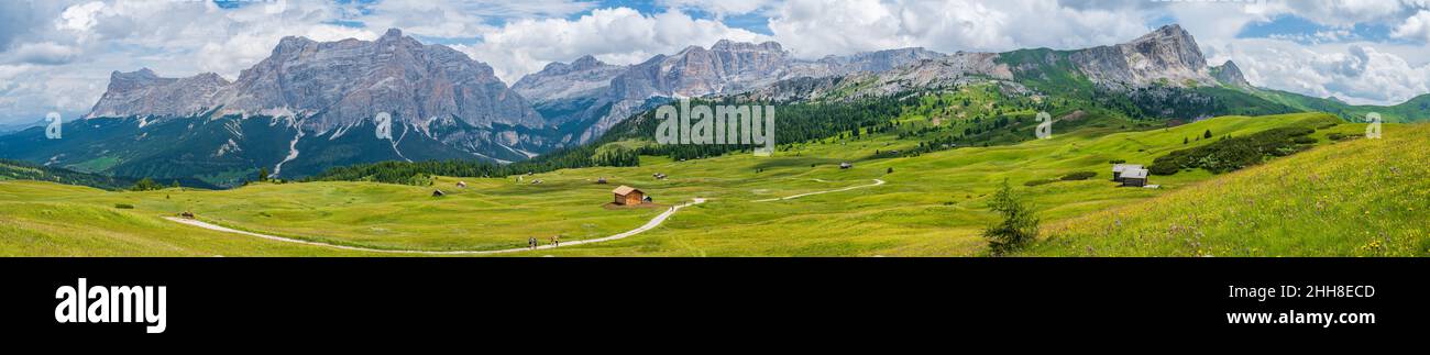 Le plateau de Pralongia au coeur des Dolomites, entre Corvara et San Cassiano Banque D'Images