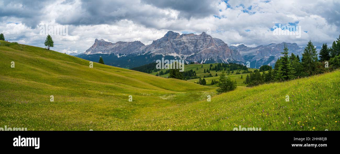 Le plateau de Pralongia au coeur des Dolomites, entre Corvara et San Cassiano Banque D'Images