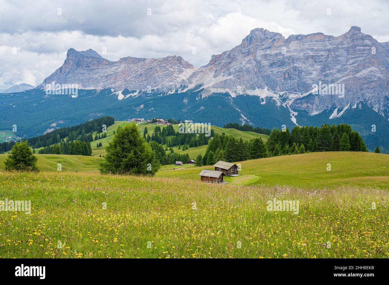 Le plateau de Pralongia au coeur des Dolomites, entre Corvara et San Cassiano Banque D'Images