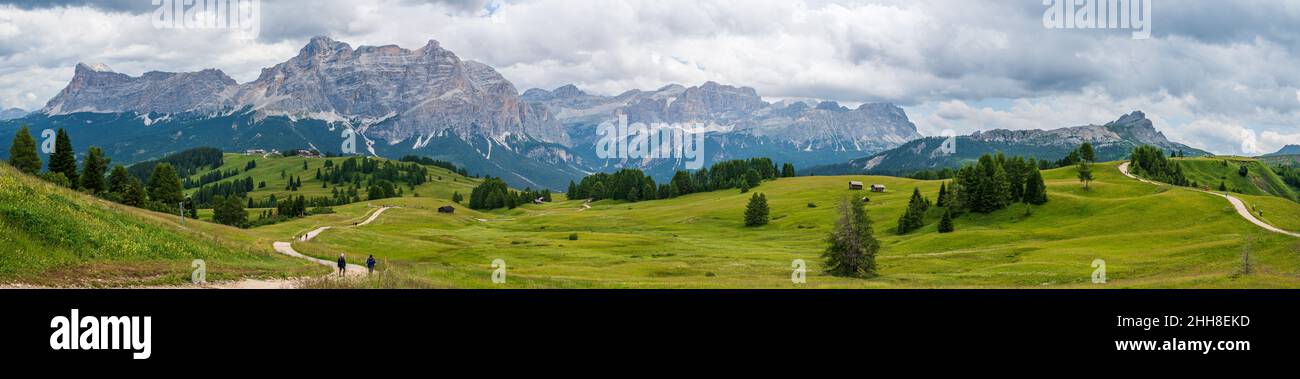 Le plateau de Pralongia au coeur des Dolomites, entre Corvara et San Cassiano Banque D'Images