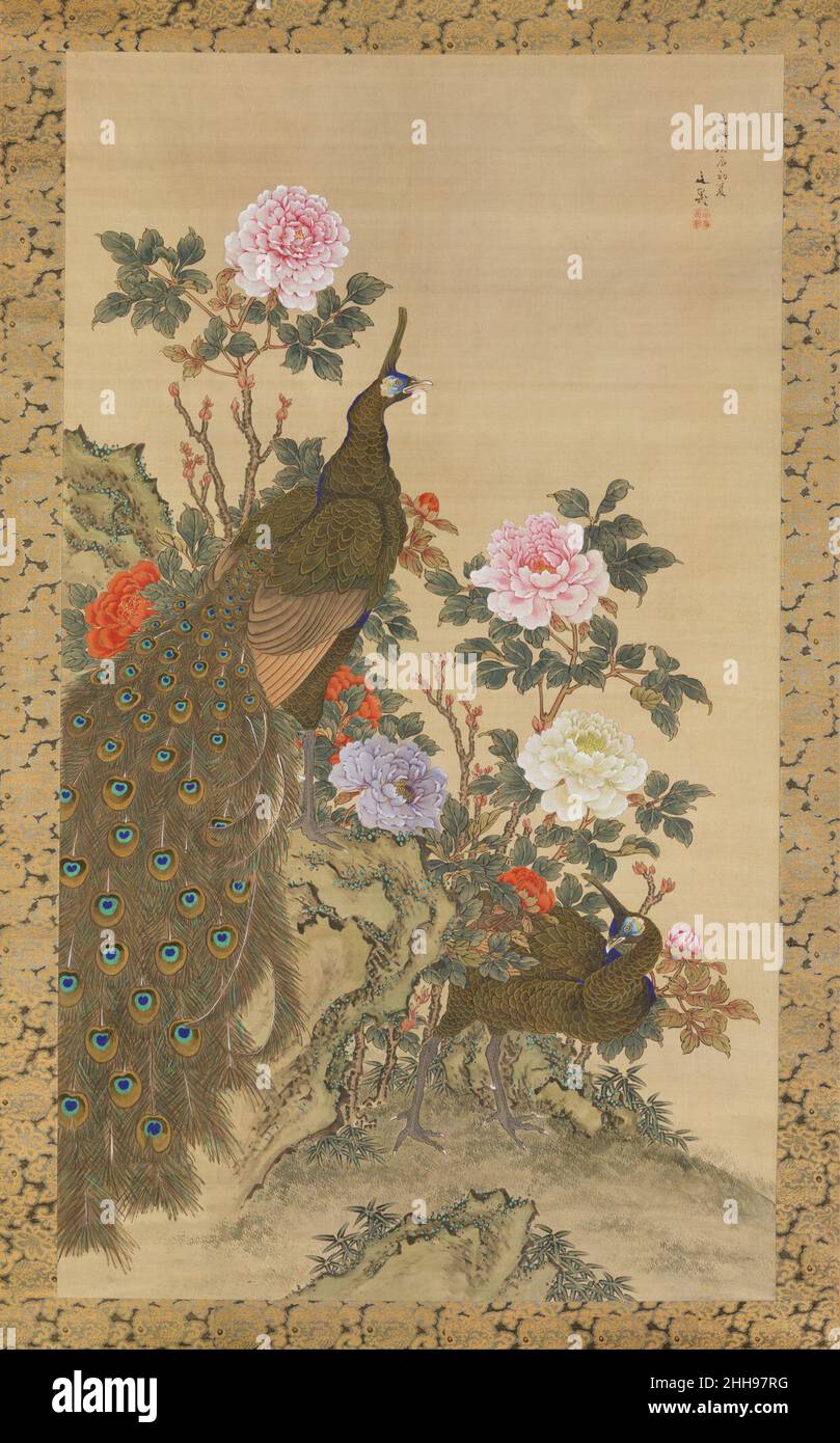 Paons et pivoines 1820 Tani Bunchō Japonais cette paire de paons avec pivoines représente la richesse et la puissance mondiale.La posture héroïque du paon suggère qu'il a pu être une commission officielle d'un patron samouraï influent.Bunchō a appris divers styles de peinture chinois au service de Matsudaira Sadanobu (1758-1829).Bunchō a emprunté le vocabulaire illustré des oiseaux et des fleurs à des peintres tels que Sō Shiseki (1712–1786), qui avait étudié le traitement chinois de ces sujets à Nagasaki.Paons et pivoines 49003 Banque D'Images