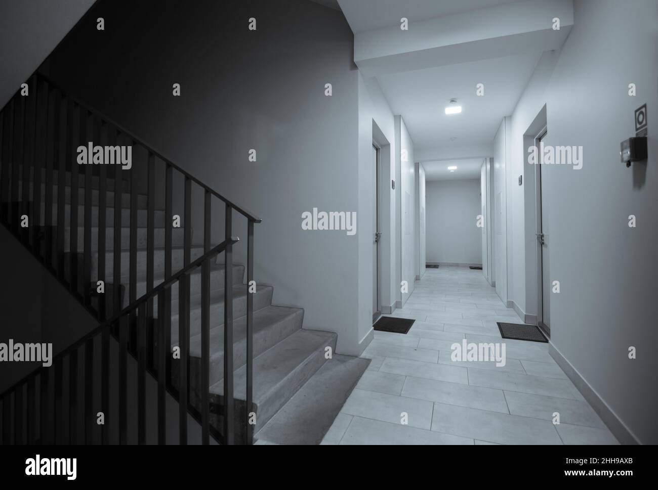 Couloir et escalier dans un immeuble d'appartements avec portes d'entrée pour les appartements Banque D'Images