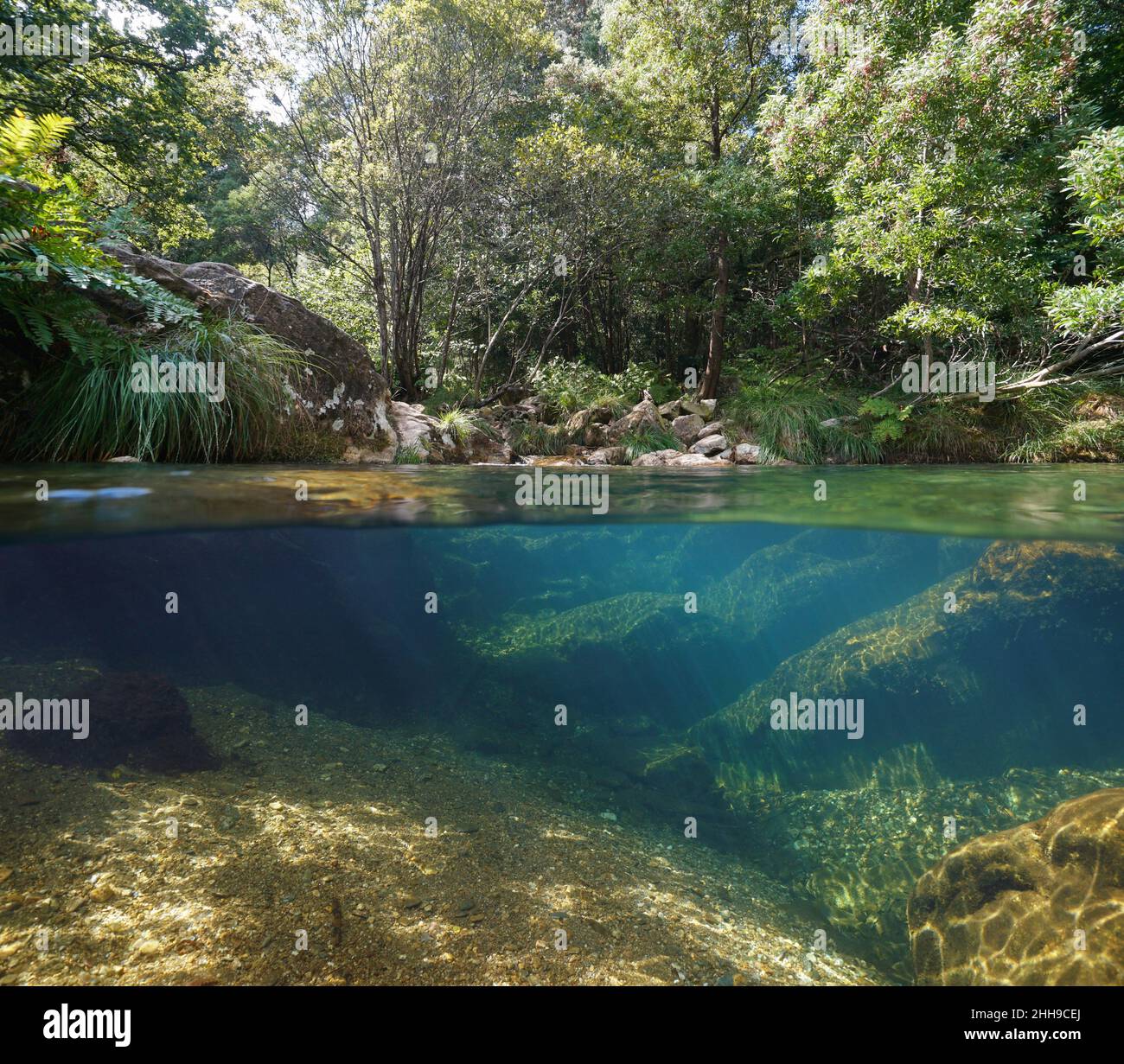 Rivière sauvage avec eau claire dans la forêt, vue sur deux niveaux et sous l'eau, Espagne, Galice, province de Pontevedra, rivière de luxe Banque D'Images