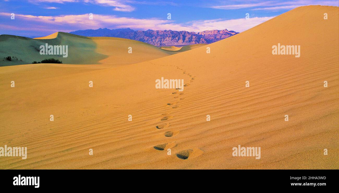Empreintes du désert de Californie dans les dunes de sable Banque D'Images