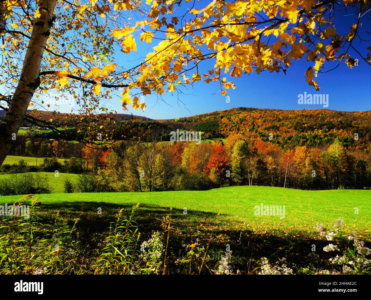 Pâturage rural du Vermont en automne Banque D'Images