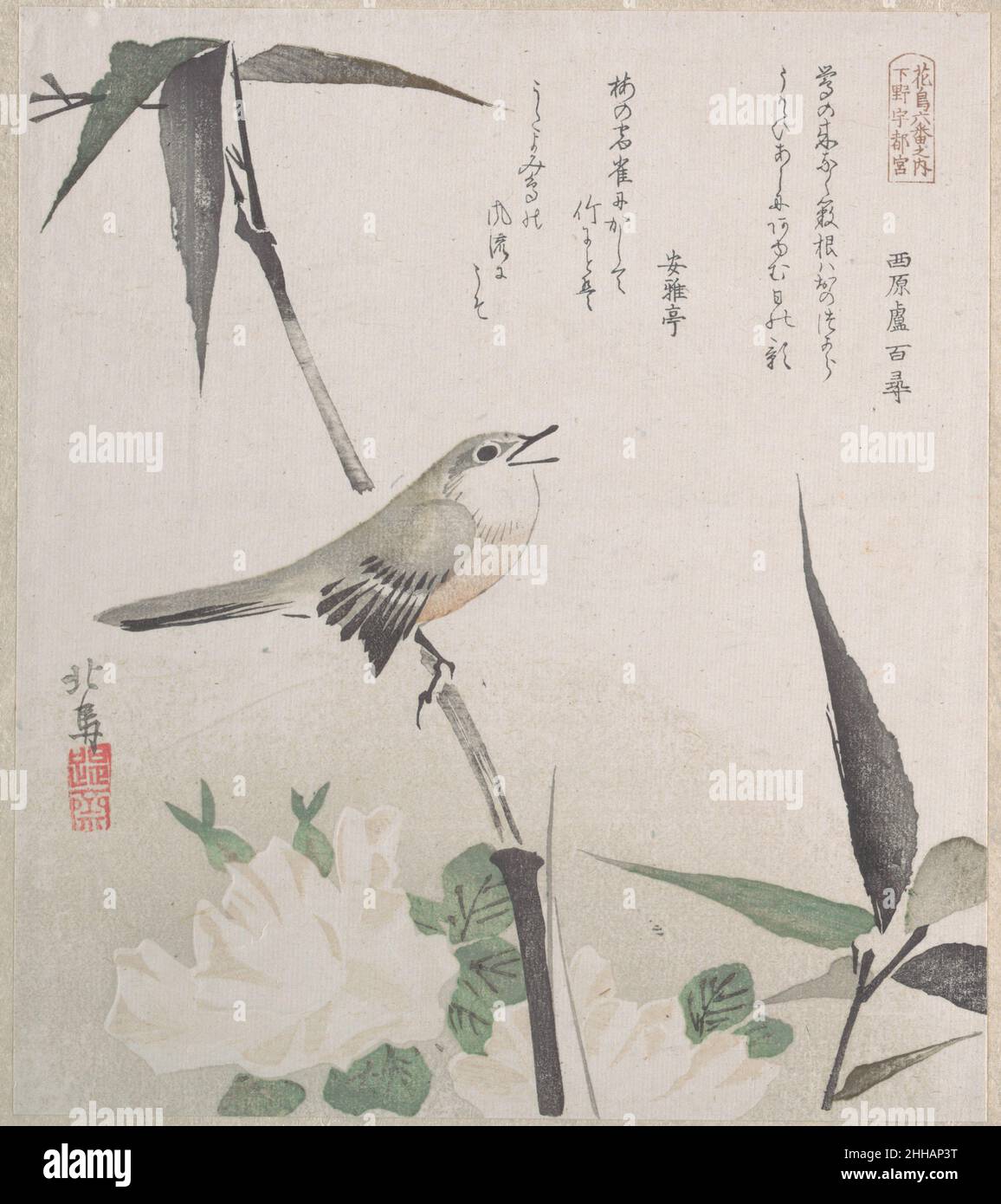 Roses et bambou avec Nightingale 19th siècle Teisai Hokuba japonais.Roses et bambou avec Nightingale 54145 Banque D'Images