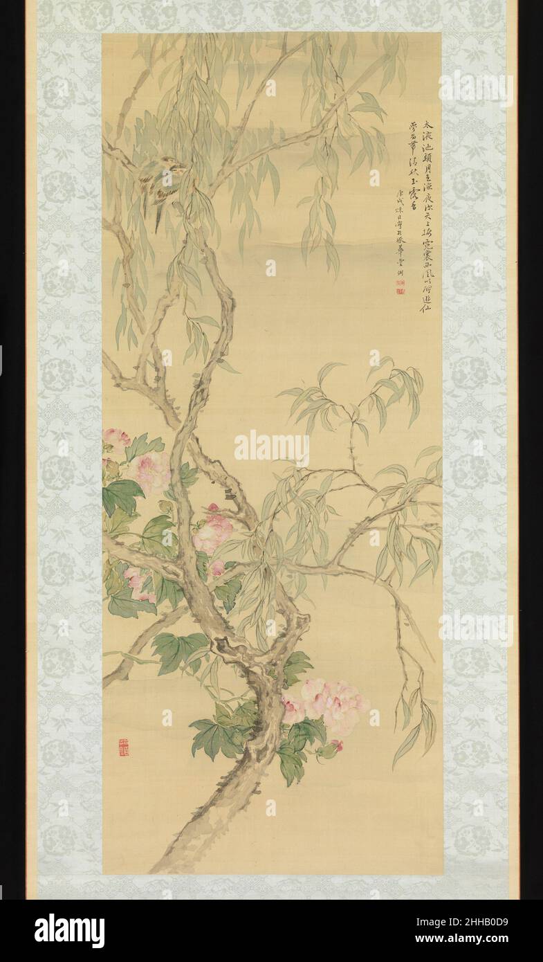 Petits oiseaux sur une branche de saule et les Blossoms d'Hibiscus datés de l'automne 1850 Tsubaki Chinzan le Chinzan japonais a été élevé à Edo dans une famille de samouraïs.Il s'est formé sous les peintres Nanga Tani Bunchō (1763–1840) et Watanabe Kazan (1793–1841) et a favorisé les artistes lettrés chinois de la dynastie Ming (1368–1644).Spécialisé dans les peintures d'oiseaux et de fleurs, il était un participant avide dans les cérémonies du thé sencha, au cours desquelles il jouirait de la visualisation de peintures chinoises et d'antiquités appartenant à ses associés.Il a rehaussé cette peinture avec un poème qui fait allusion à un passage de la 'Song de l'éternel Sorr Banque D'Images
