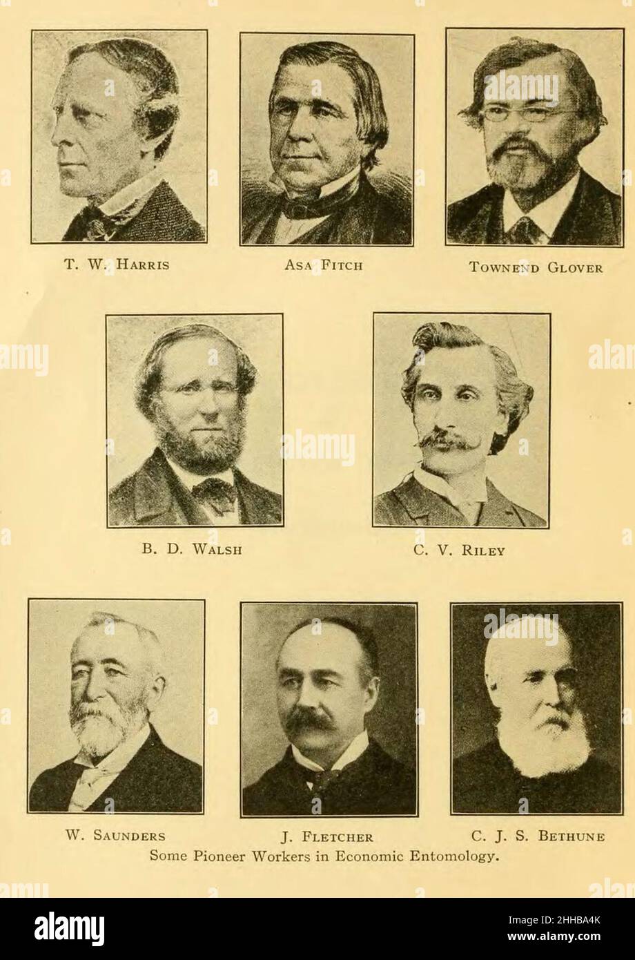 Quelques travailleurs pionniers en entomologie économique (page 8 culture). Banque D'Images