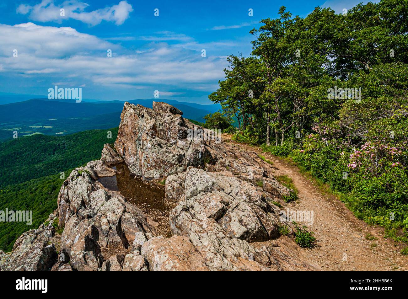 Little Stony Man Cliffs Trail, parc national de Shenandoah, Virginie, États-Unis Banque D'Images