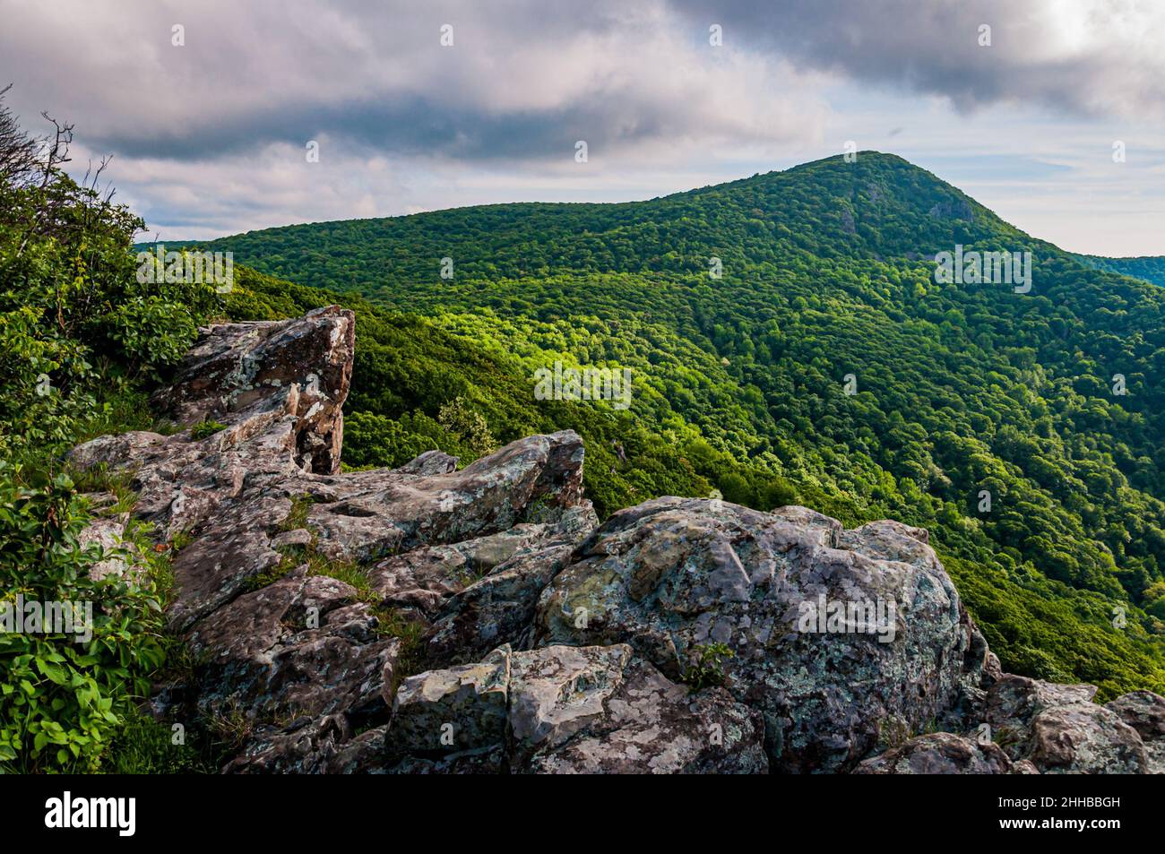 Vue sur Hawksbill Mountain, prise de Little Stony Man Cliffs, Parc national de Shenandoah, Virginie, États-Unis Banque D'Images