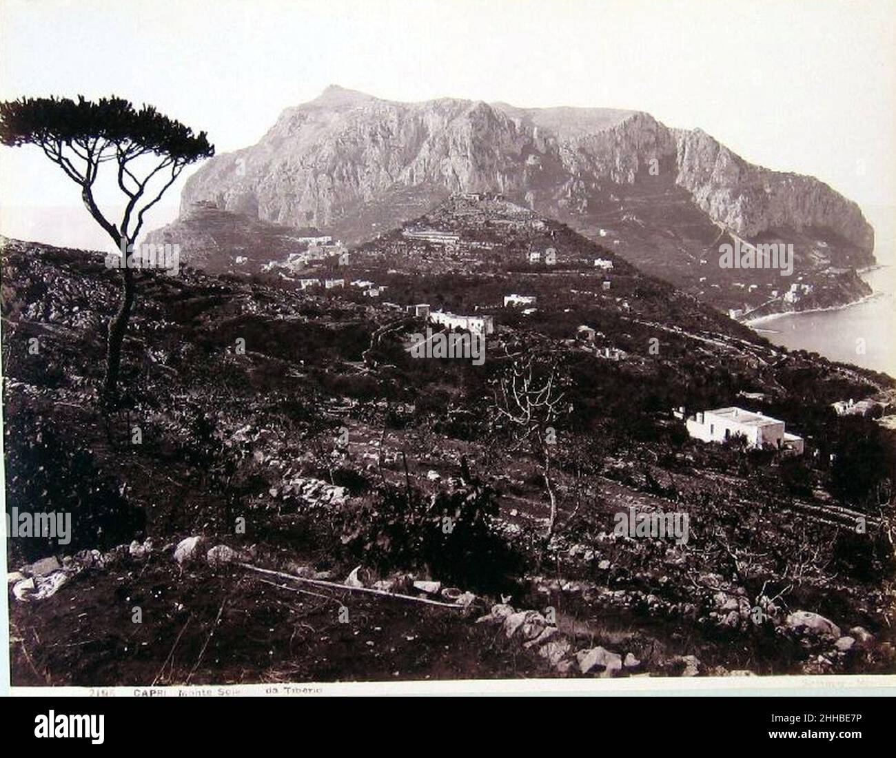 Sommer, Giorgio (1834-1914) - n.2195 - Capri - Monte Solaro da Tiberio. Banque D'Images