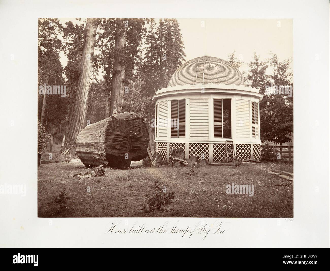 La maison construite au-dessus de la souche d'un grand arbre 1865–66, imprimé vers.1876 Carleton E. Watkins American.La maison construite sur le Stump d'un Big Tree 264955 Banque D'Images