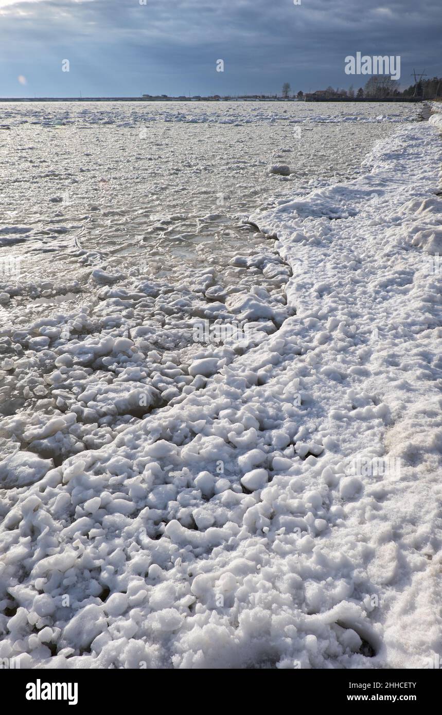 Des amas de neige et de glace frasil à la surface de l'eau de rivière glaciale de la mer de OB au début de la saison hivernale Banque D'Images