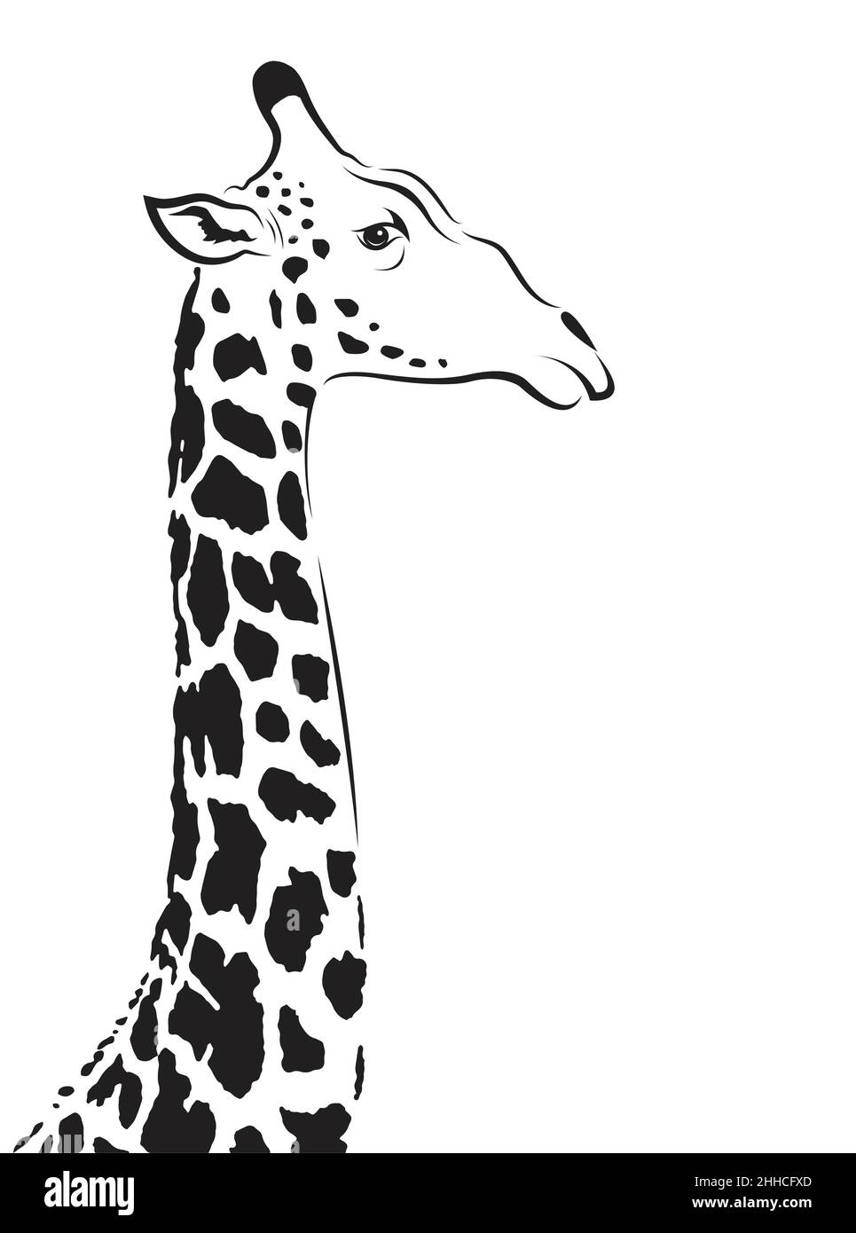 Vecteur de tête de girafe sur fond blanc.Illustration vectorielle superposée facile à modifier. Illustration de Vecteur