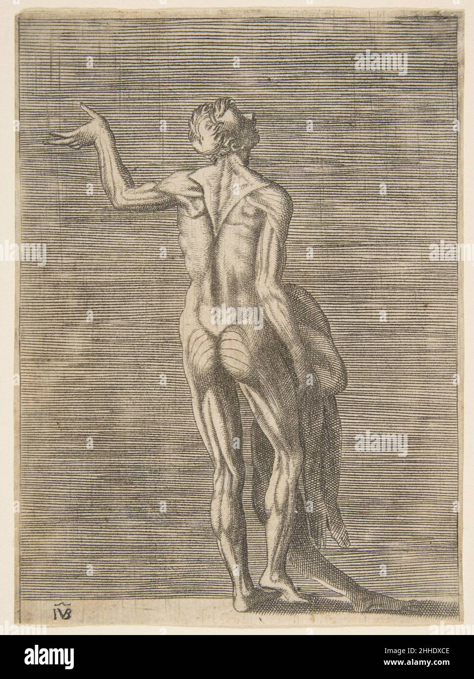Homme flétré avec la main gauche sur la hanche, tenant la peau dans la main droite ca.1531–76 Giulio Bonasone Italien.Homme flétré avec la main gauche sur la hanche, tenant la peau dans la main droite.Giulio Bonasone (italien, actif Rome et Bologne, 1531–après 1576). Env.1531–76.Gravure.Imprime Banque D'Images