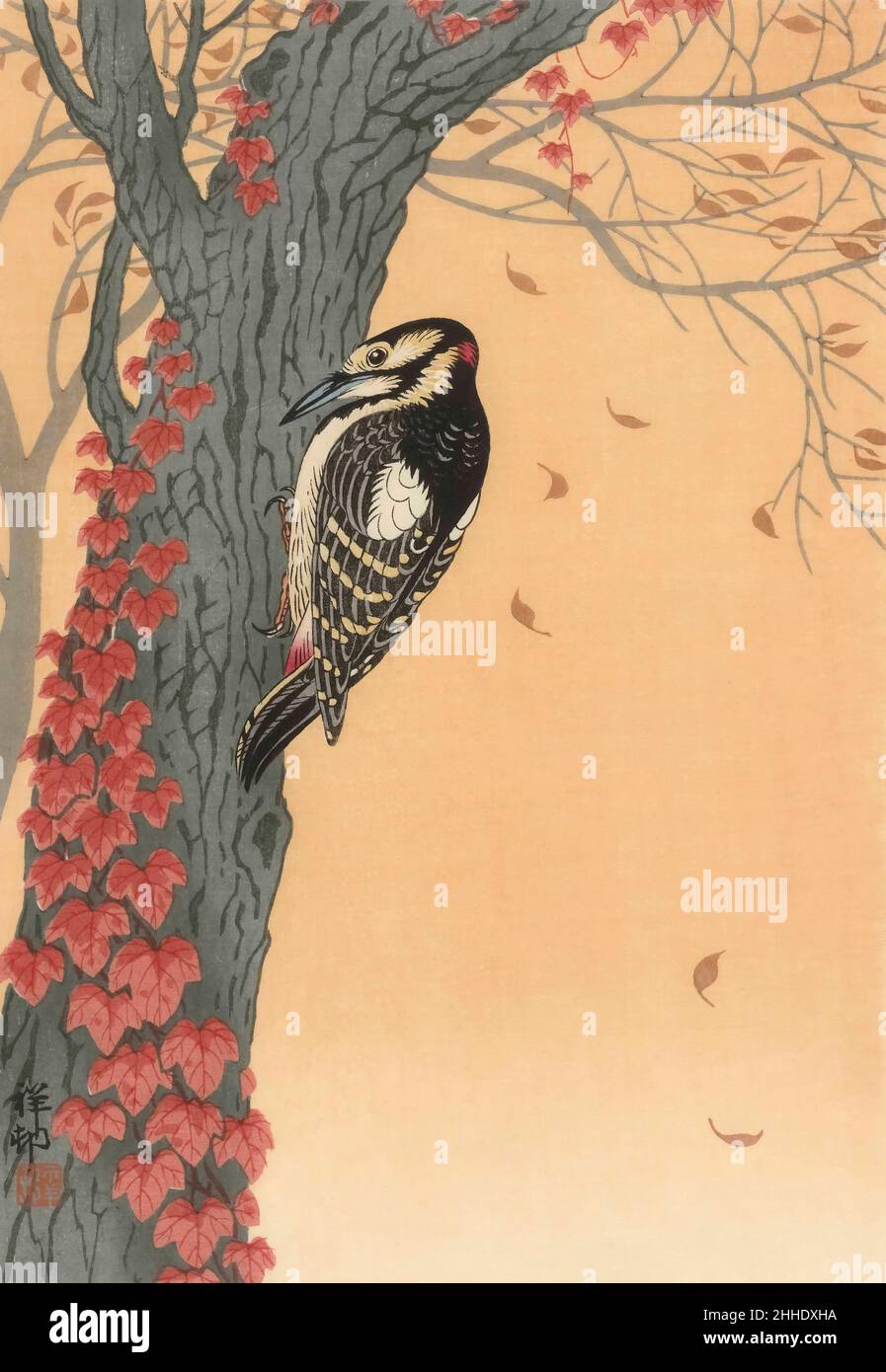 Grand pic à pois dans un arbre avec l'Ivy rouge par l'artiste japonais Ohara Koson, 1877 - 1945.Ohara Koson faisait partie du mouvement Shin-hanga, ou de nouveaux tirages. Banque D'Images Grand pic à pois dans un arbre avec l'Ivy rouge par l'artiste japonais Ohara Koson, 1877 - 1945.Ohara Koson faisait partie du mouvement Shin-hanga, ou de nouveaux tirages. Banque D'Images