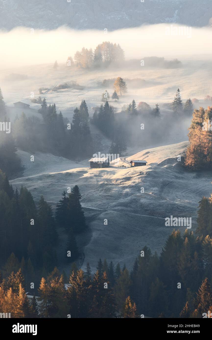 Matin d'automne glacial sur la pente du plateau de Seiser Alm.Tyrol du Sud, Italie (photo verticale) Banque D'Images
