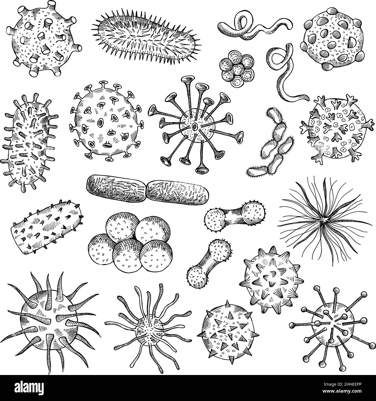 Esquisse de bactéries.Dessin de virus biologiques closeup cellules covid type de bactéries concept médical illustrations vecteur récent doodle images set Illustration de Vecteur