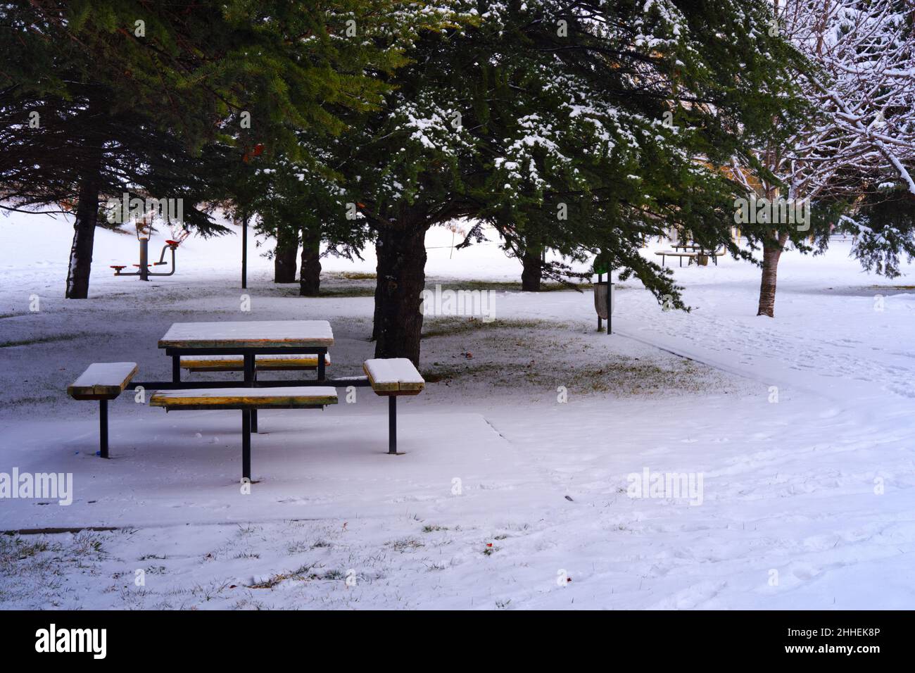 Table de pique-nique en bois et bancs sous la neige à l'intérieur des pins par une froide journée d'hiver Banque D'Images