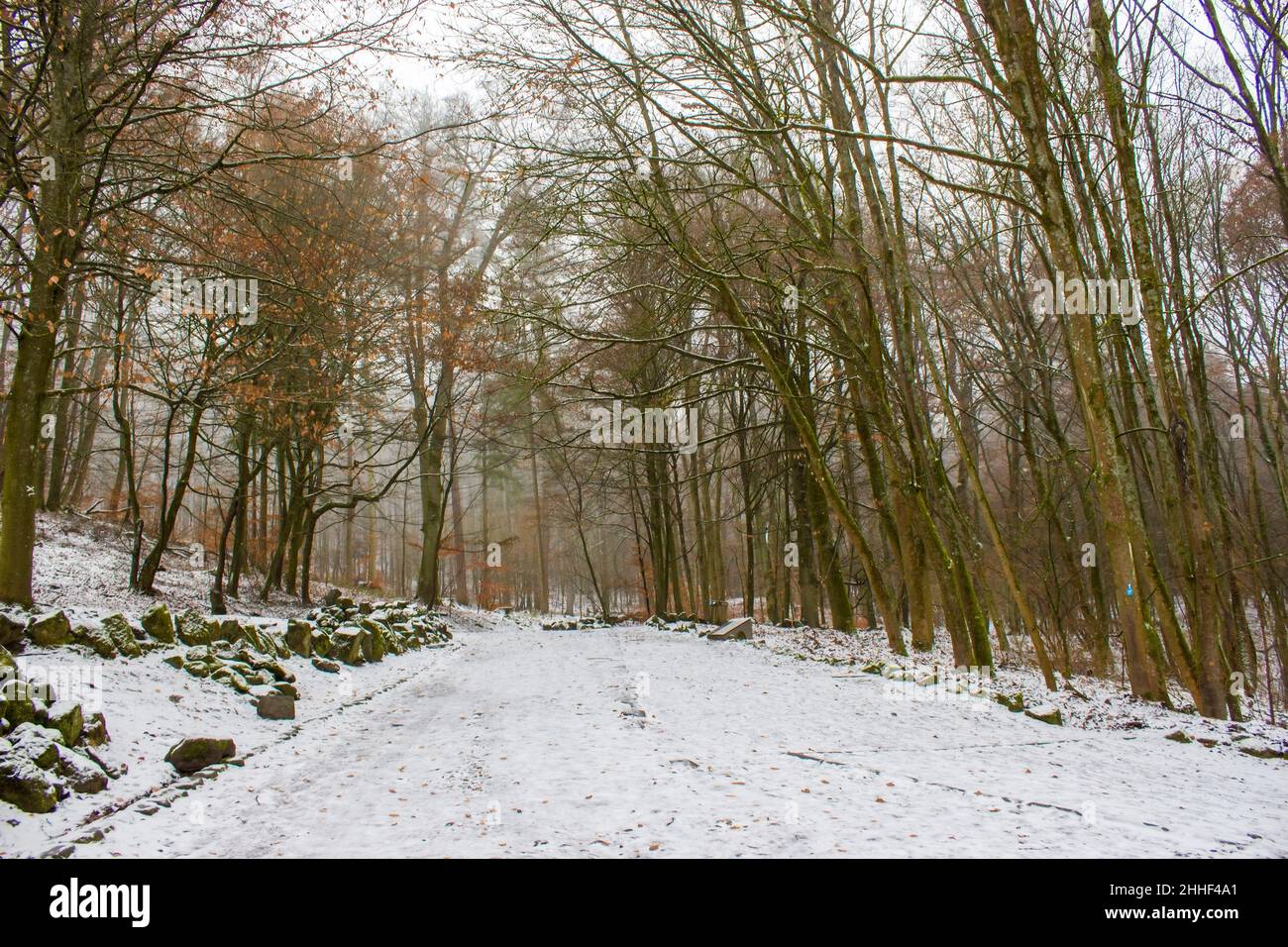 Bergpark Wilhelmshoehe à Kassel en Allemagne, un parc de paysages unique à Kassel en Allemagne Banque D'Images