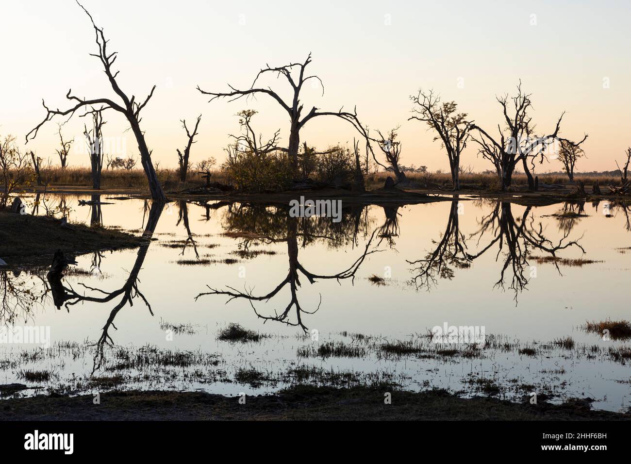 Lever du soleil sur l'eau, silhouettes et réflexions à la surface de l'eau, delta d'Okavango Banque D'Images