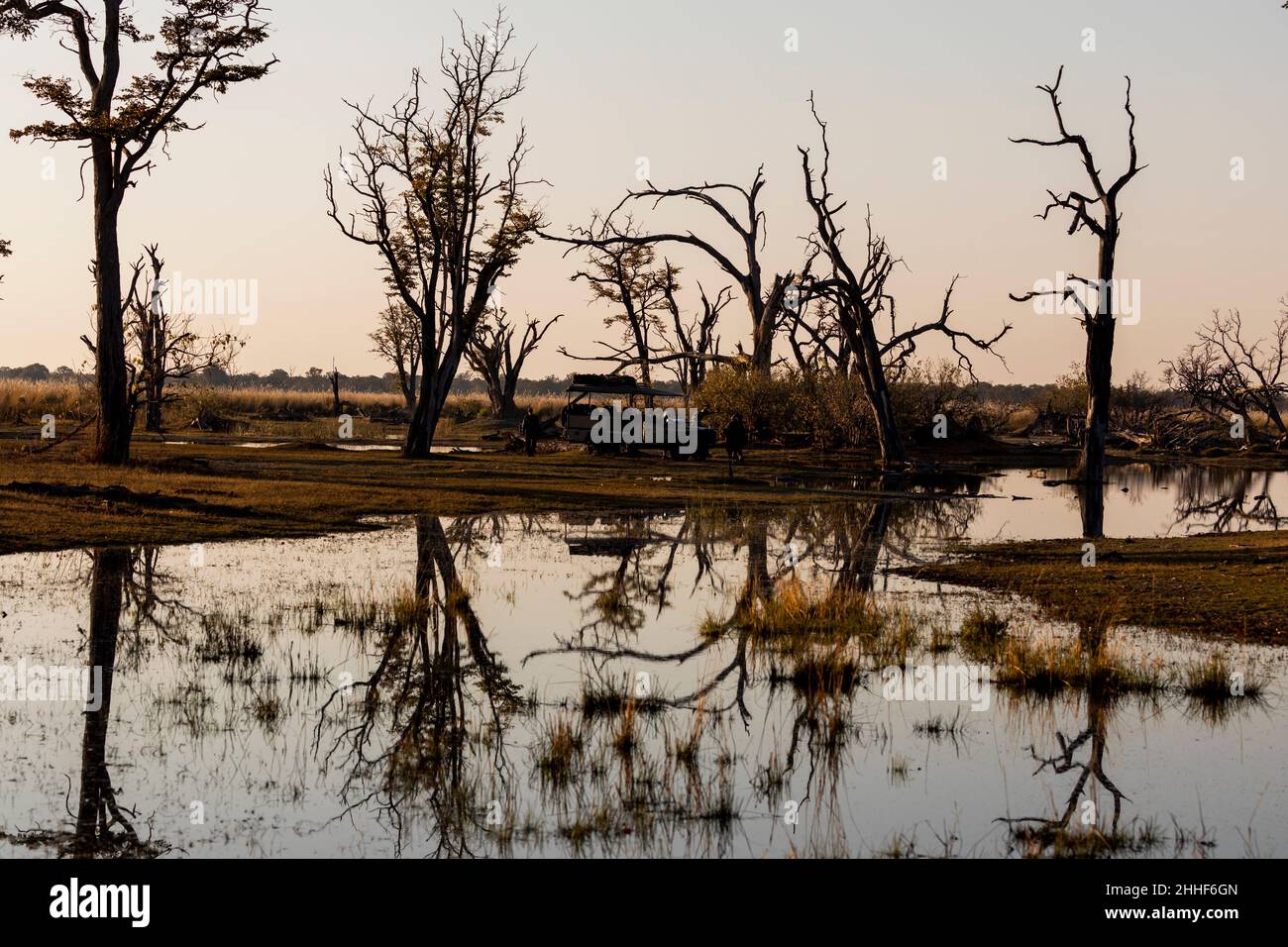 Paysage, terres humides, arbres reflétés dans l'eau calme Banque D'Images