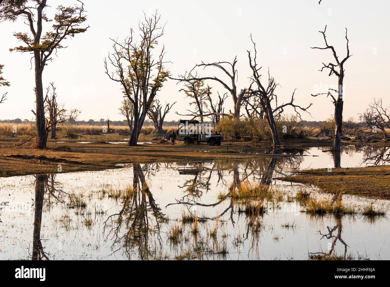 Paysage, terres humides, arbres reflétés dans l'eau calme Banque D'Images