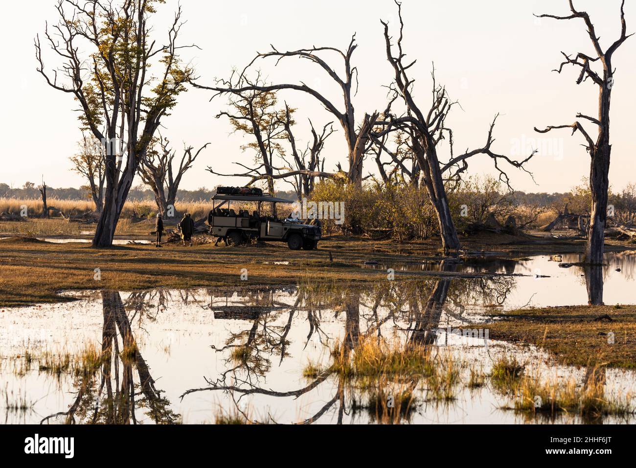 Paysage, terres humides, arbres reflétés dans l'eau calme Banque D'Images