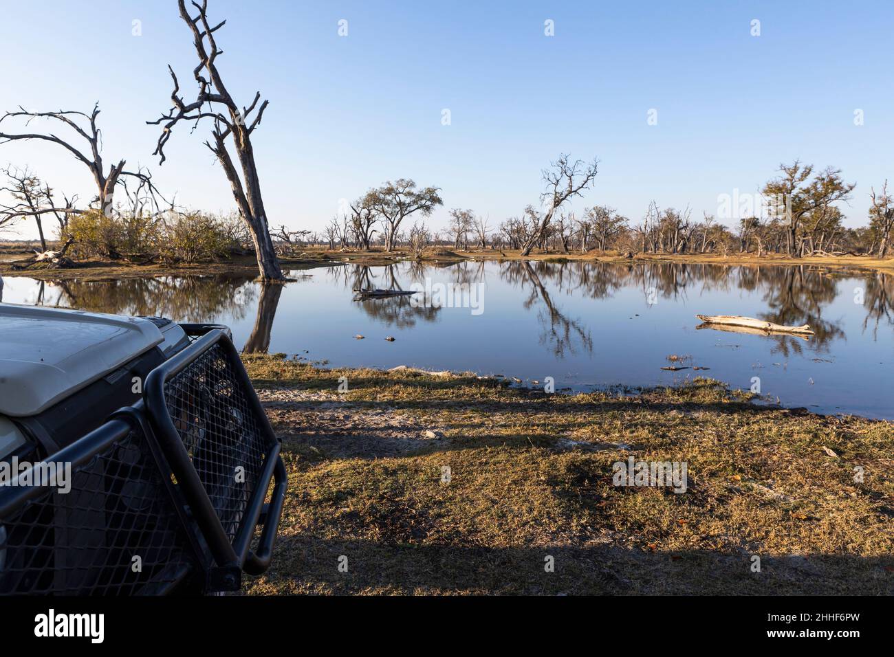 Paysage, terres humides, arbres reflétés dans l'eau calme Banque D'Images
