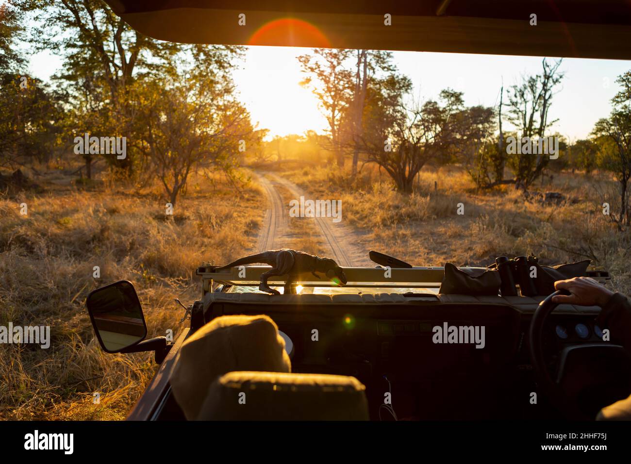 Une jeep safari, vue passager de la route de terre devant au lever du soleil Banque D'Images