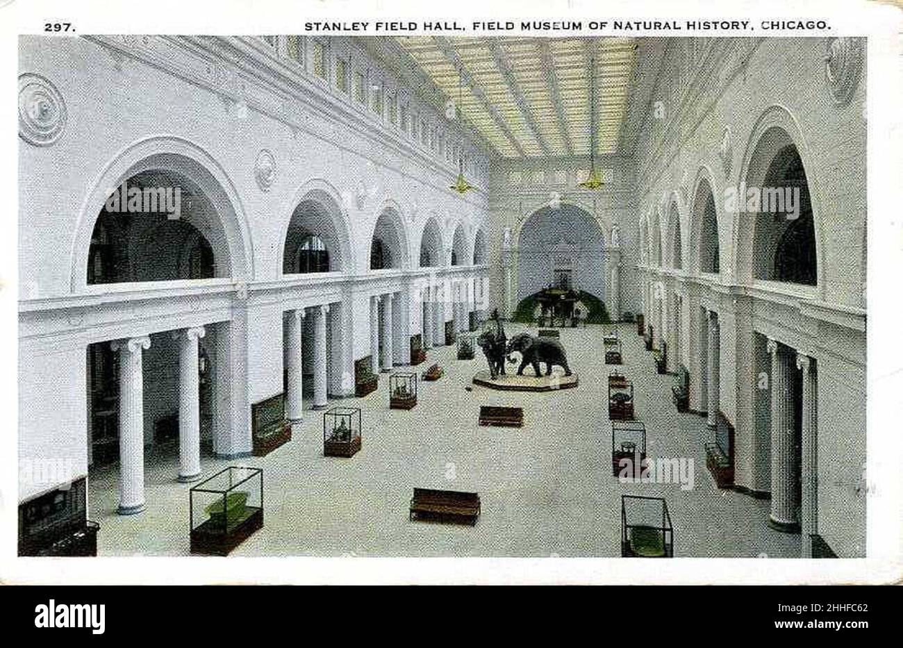 Stanley Field Hall, Field Museum of Natural History, Chicago Banque D'Images