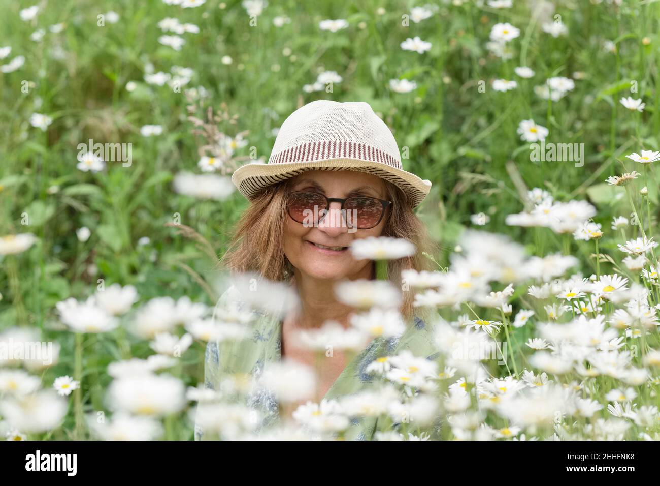 Leucanthemum vulgare - Femme dans un pré sauvage avec des pâquerettes à œil d'Ox - West Lexham Gardens Norfolk Banque D'Images