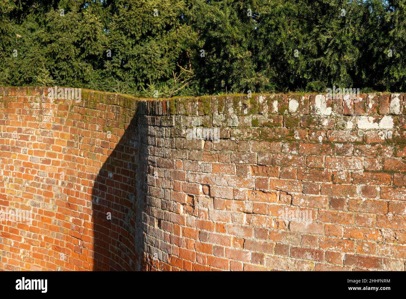 Plan au niveau du sol d'un mur de maneton à la paroi d'Easton Suffolk au Royaume-Uni Banque D'Images