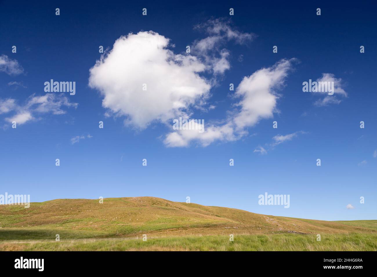 Nuée de cumulus d'été sur une prairie d'herbe Banque D'Images