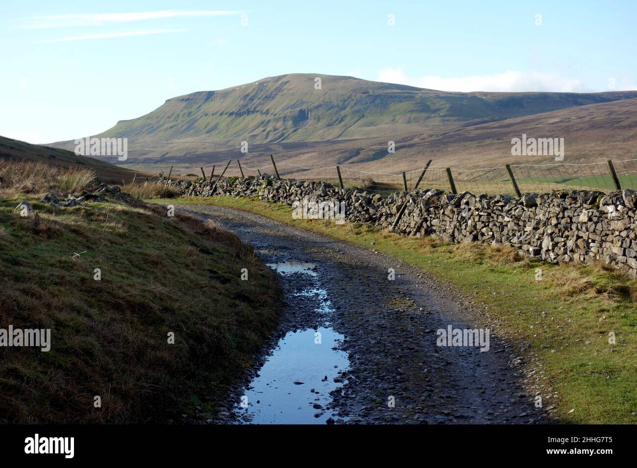 Pen-y-ghent (1 des 3 sommets du Yorkshire) de Track from Litton à Dale Head à Silverdale, dans le parc national du Yorkshire Dales, Angleterre, Royaume-Uni. Banque D'Images
