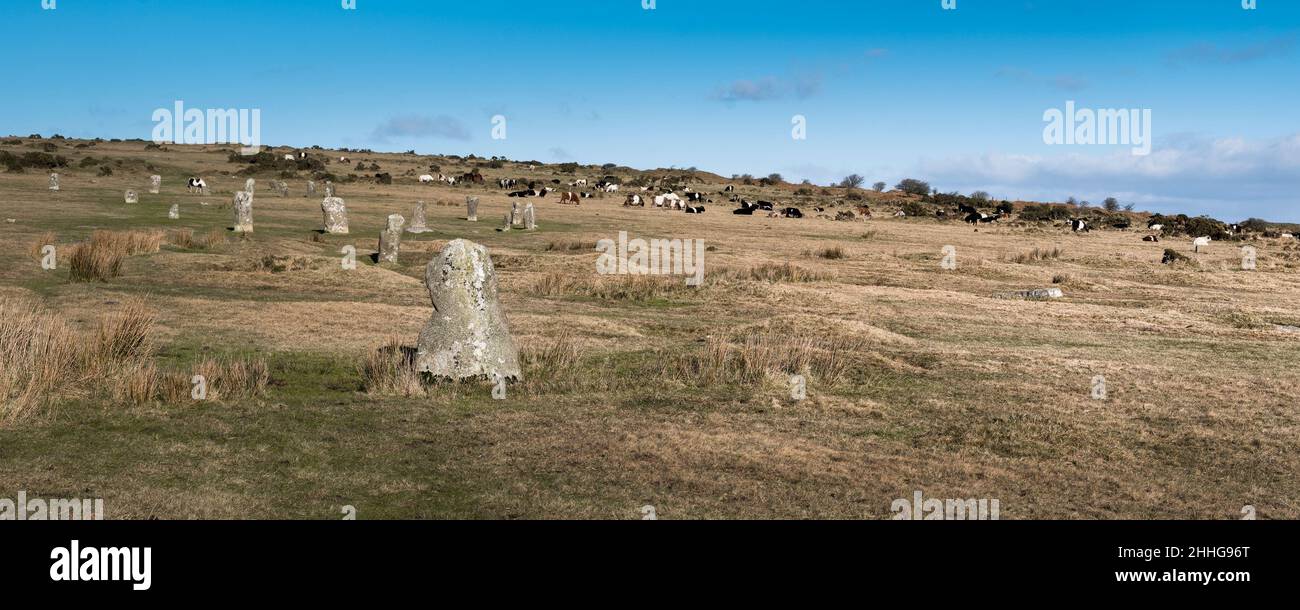 Une image panoramique des pierres debout des Hurlers de la fin du Néolithique de l'âge de bronze précoce sur les Meion Downs sur la tourbière bodmin sauvage de Cornwall U Banque D'Images
